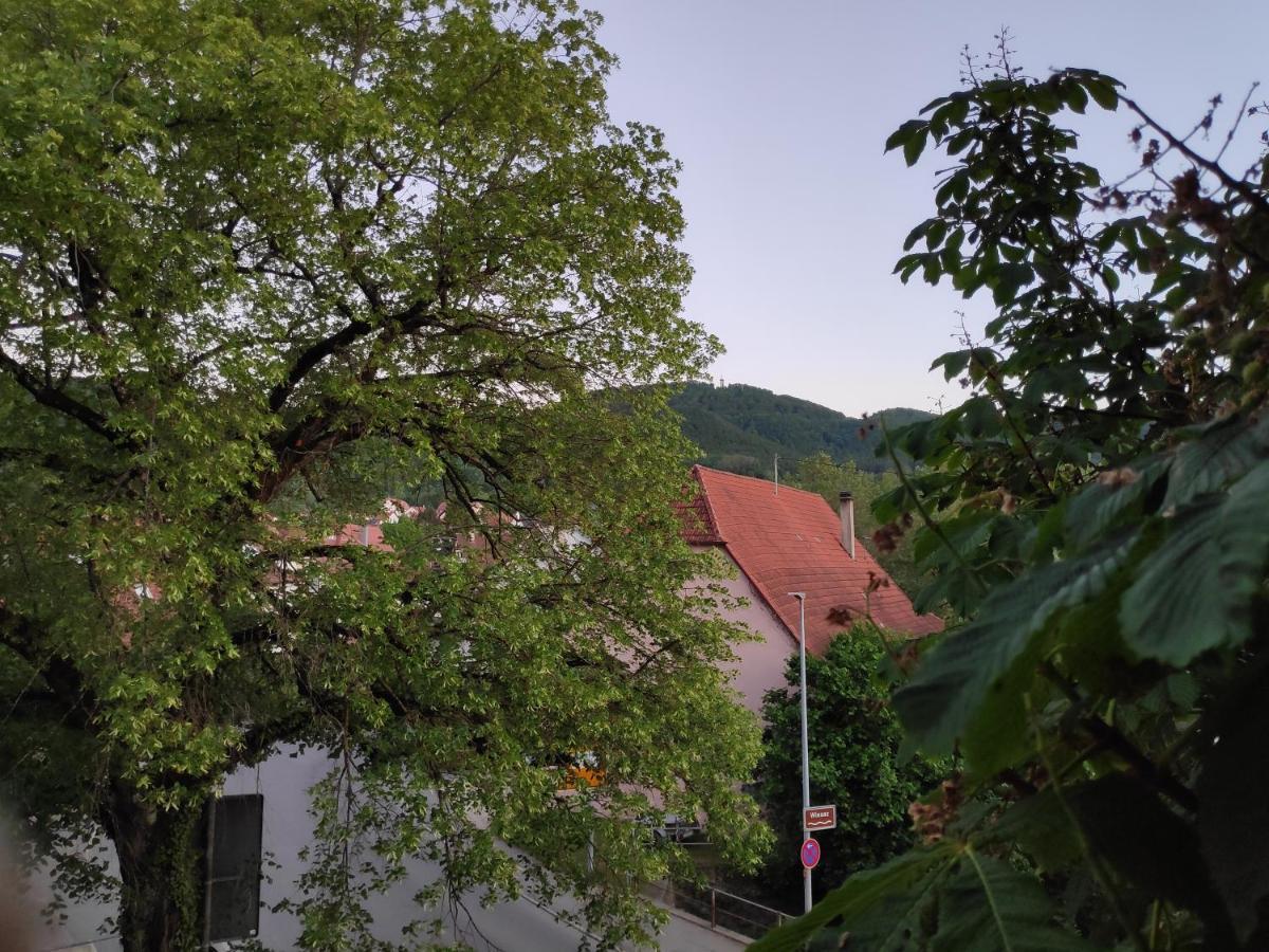 Ferienwohnungen Und Zimmer In Reutlingen-Goenningen ภายนอก รูปภาพ